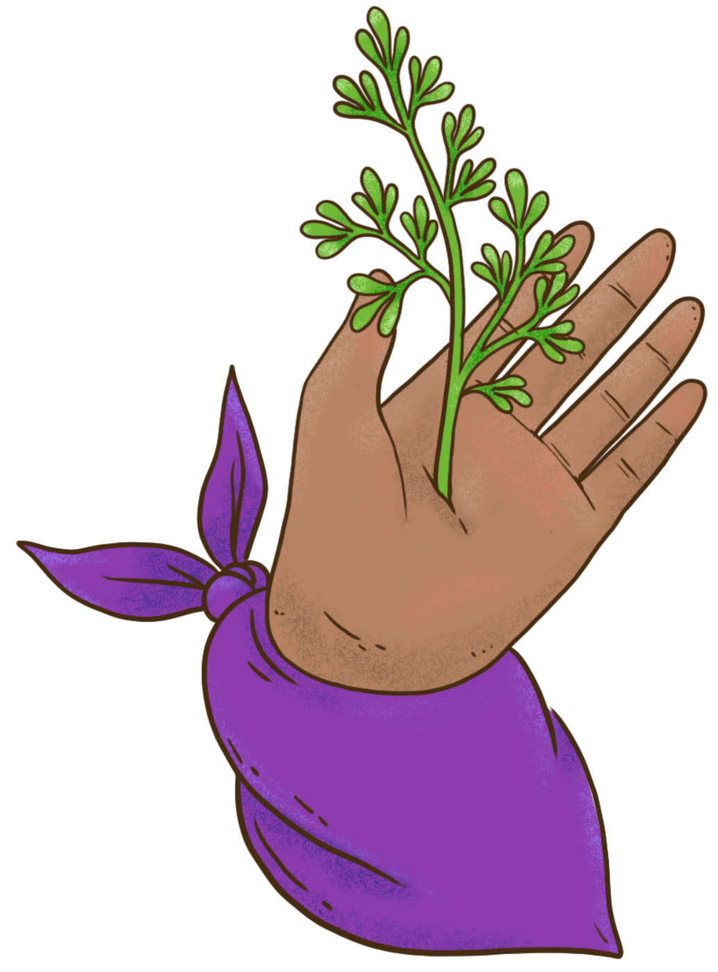 ilustracion_3